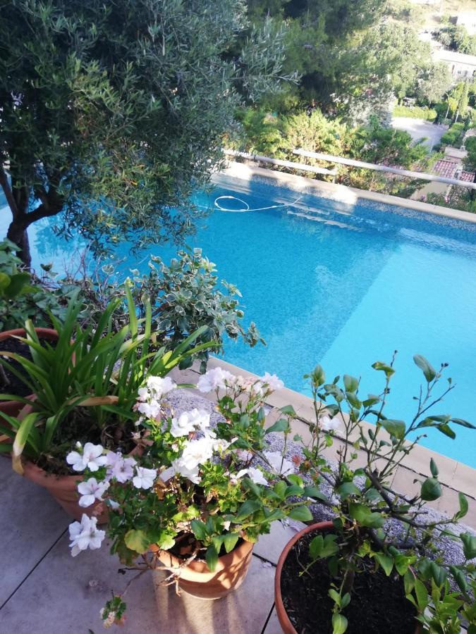 Lumineuse, Calme Absolu Homestay Allauch