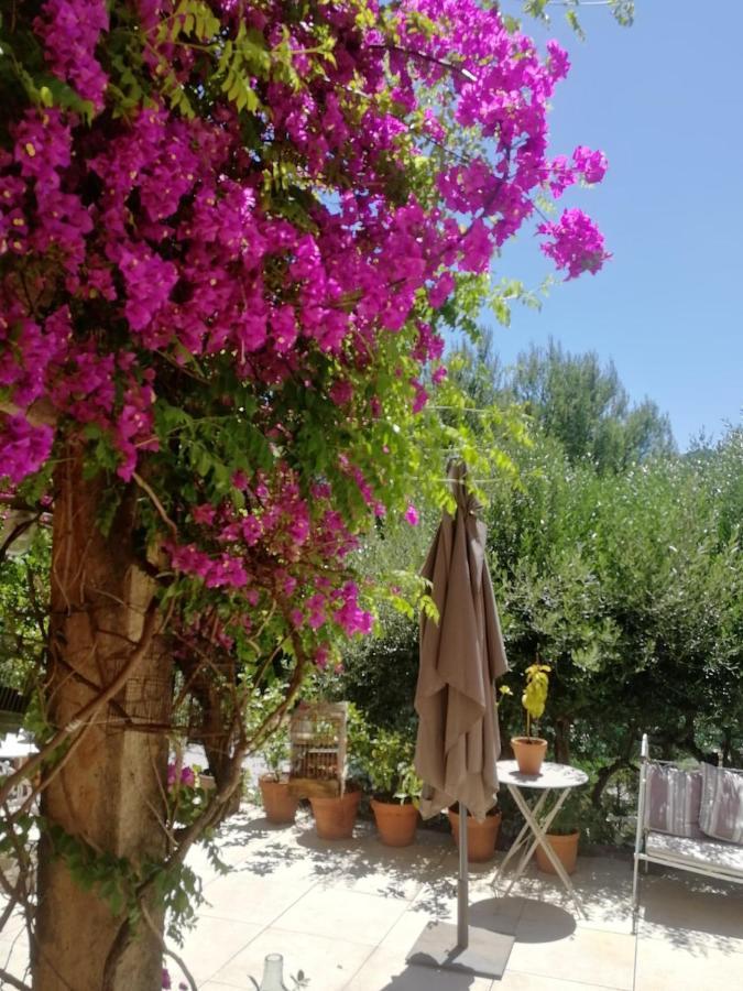 Lumineuse, Calme Absolu Homestay Allauch